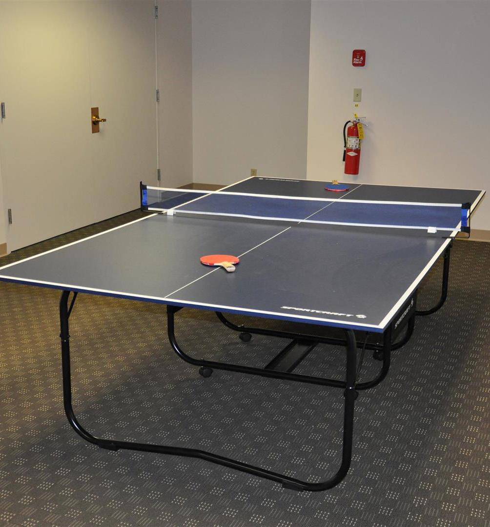 Ping Pong Table -