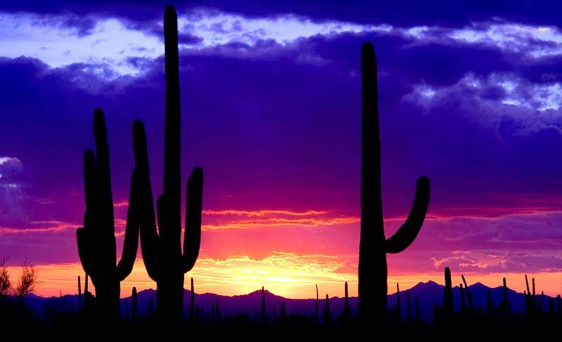 The Sonoran Institute inspires and enables community decisions and
