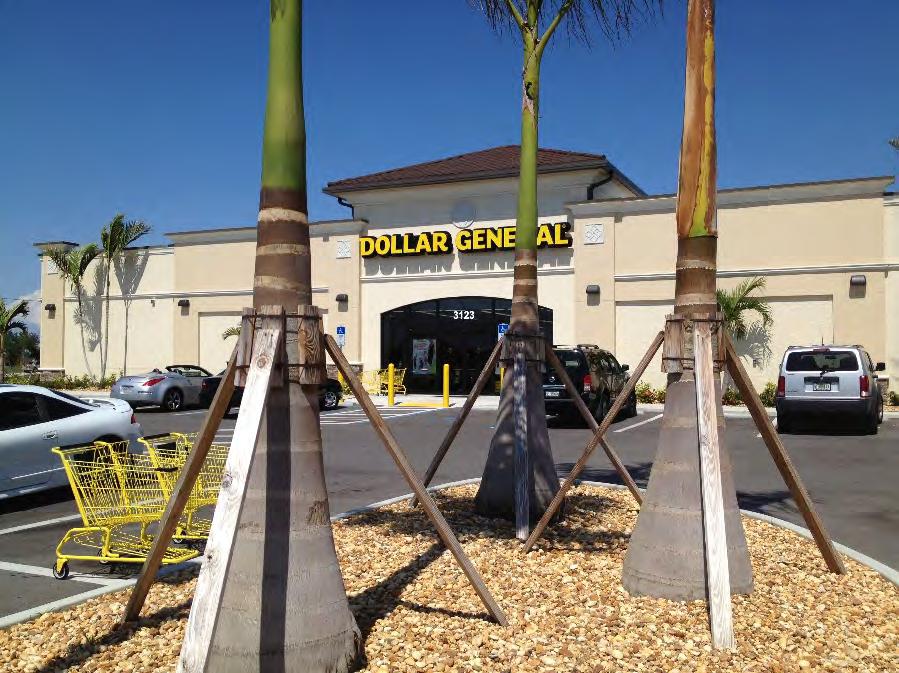 INVESTMENT OVERVIEW Dollar General Center 3123 Chiquita Blvd., Cape Coral, FL 33914 Price Cap Rate Rental Income Expenses NOI DG Lease Start $2,785,000 6.