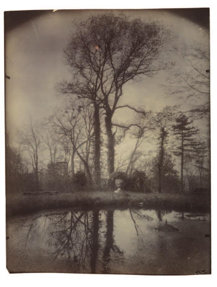 Eugène Atget (French, 1857 1927). The Park at Sceaux (April 1925, 7 a.m.), 1925, from Atget numbering series Sceaux #37; arrowroot print, goldtoned; 22.9 x 17.