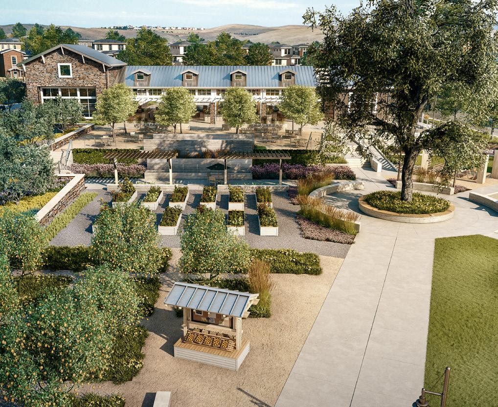 TRUMARK STORY Life at allis Ranch is finding your spot at home and in the world. Old dreams. New ideas. And a community of 184 acres with 806 homes.