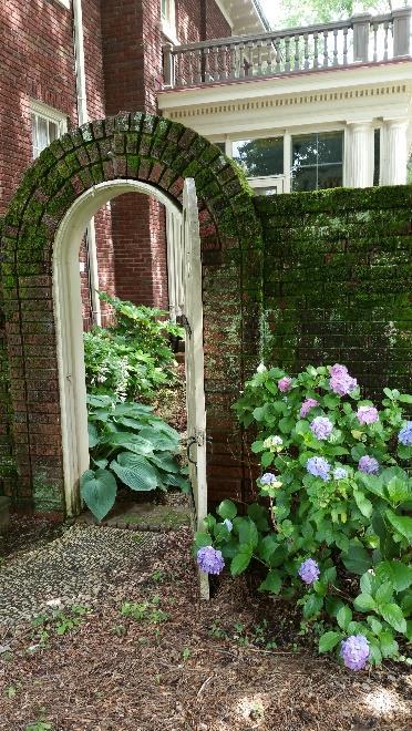 The courtyard is enclosed with vines of Jasmine on the fence and a 6-foot brick wall.