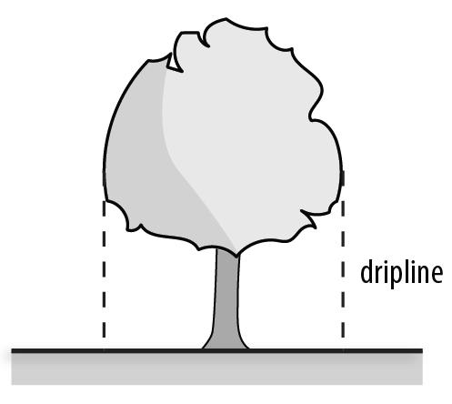 Chapter 95 Definitions Section 95.080 Terms Beginning with E Figure 95-3: Dripline (of atree) Dumpster A container with a capacity of more than 5 cubic yards or a height of more than 4.