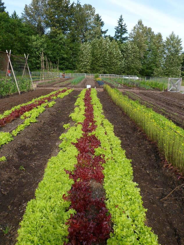Metro Vancouver - Examples Protecting agricultural land MVRD Board sent recommendations for national food policy to Federal Minister of
