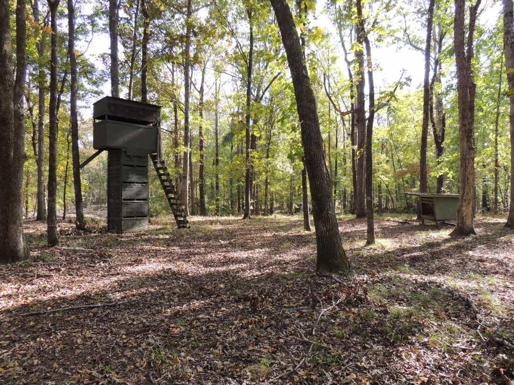 OVERVIEW: Over 565 acres of prime Lowcountry hunting land situated on the Little Salkehatchie River and located in Barnwell and Bamberg counties, presents an