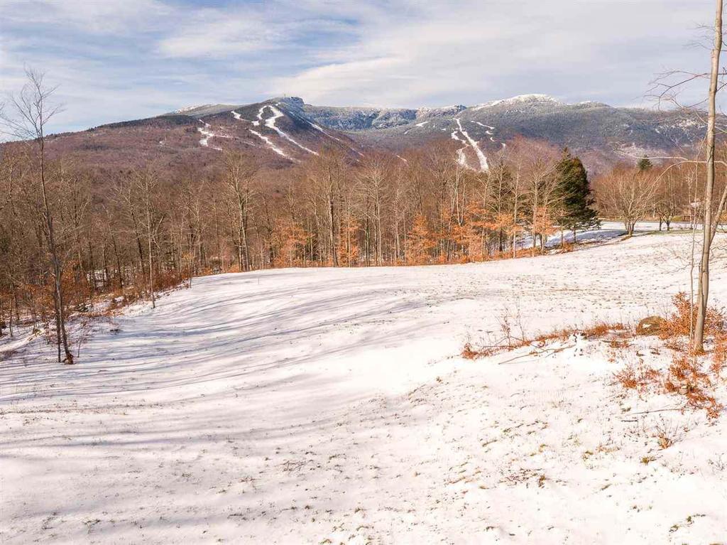 Stowe VT Land Sales 2017 Median Price: $187,500, down from $320,000 in 2016 Average Price: $180,311, down from $423,033 in
