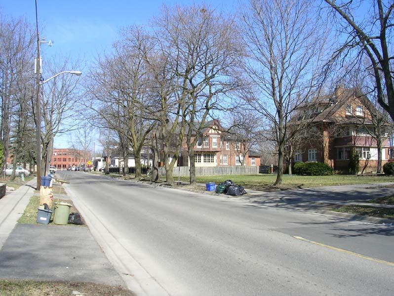 late 19 th century estates on east side of the street, mature trees