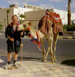 Arvo and a camel in Africa [The camel on the rigth] Arvo Vitikainen Doctor of Science (Technology) Professor of Land