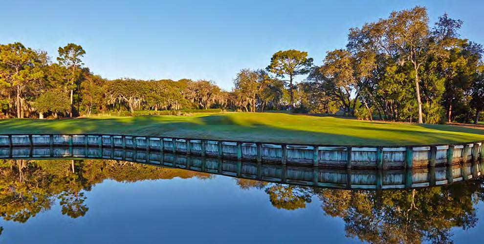 retailers. Palm Harbor offers an array of beautiful beaches and championship golf.