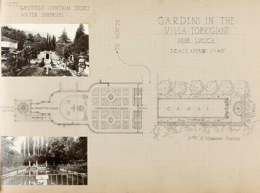 garden plan.