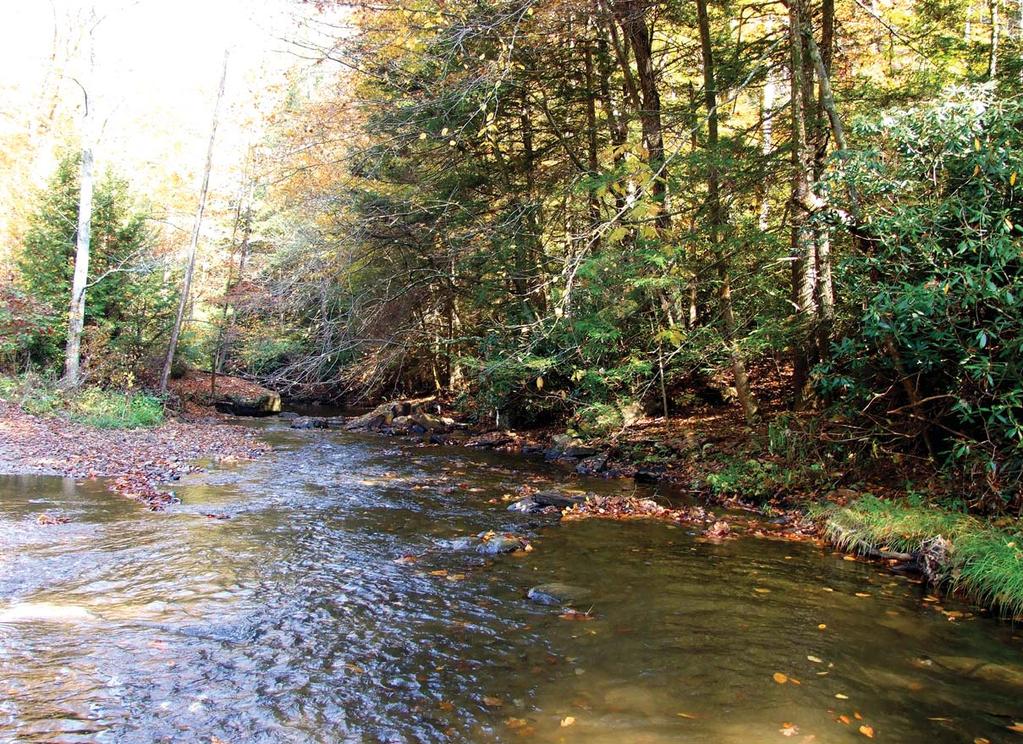 WEST VIRGINIA MARYLAND SEALED BID AUCTION WEST VIRGINIA HARDWOOD TIMBERLAND PACKAGE 6,856± Acres Total of 27 Tracts