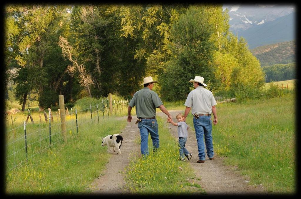 Colorado Cattlemen s Agricultural Land Trust (CCALT) o Founded 1995 o First land trust founded by a livestock association o 6 other western states have followed