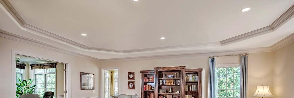 LivingRoom 21x16: With tray ceiling, recessed lights, wainscoting, and