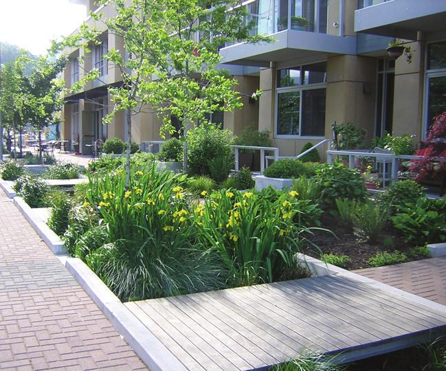 reduce the amount of existing landscaping on site.