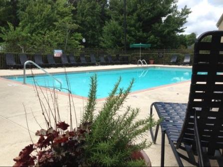 The property amenities include: two leasing offices/clubhouses two swimming pools tennis courts children s playground fitness center two laundry rooms Repositioning Update: