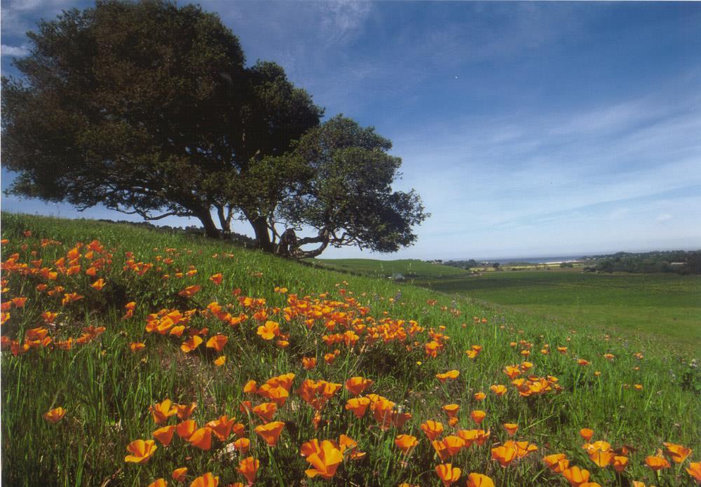 BIG SUR LAND TRUST BUSINESS SPONSORS BSLT is organizing Monterey County s participation in Take It Outside California, a statewide event, promoted by the California Council of Land Trusts.