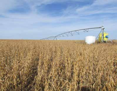 1,520 +/- Acres - Irrigated & Dry Cropland -