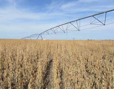 Base Acres & Yields Parcels 1, 3 & 4 Crop Base Acres Yield Wheat 23.43 43 bu. Corn 229.69 132 bu.
