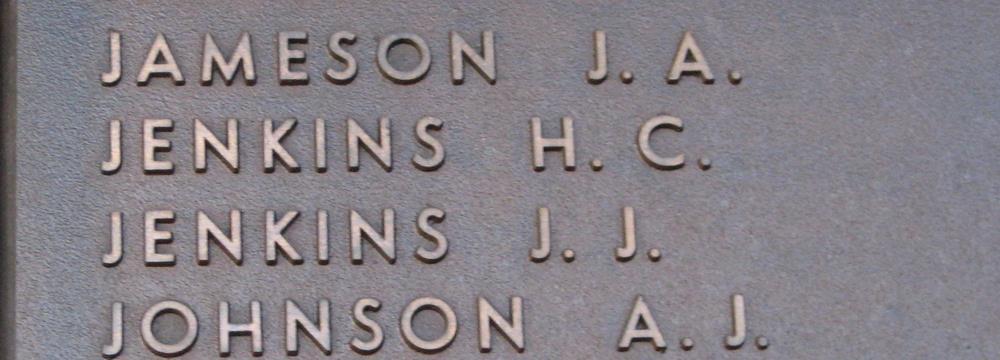 John James JENKINS John James Jenkins was born at Toowoomba to parents Thomas James & Harriet Jenkins (nee Morwood).