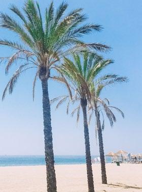The Costa del Sol The Costa del Sol sunshine coast is the only European destination to boast over 300 days of sunshine every year.