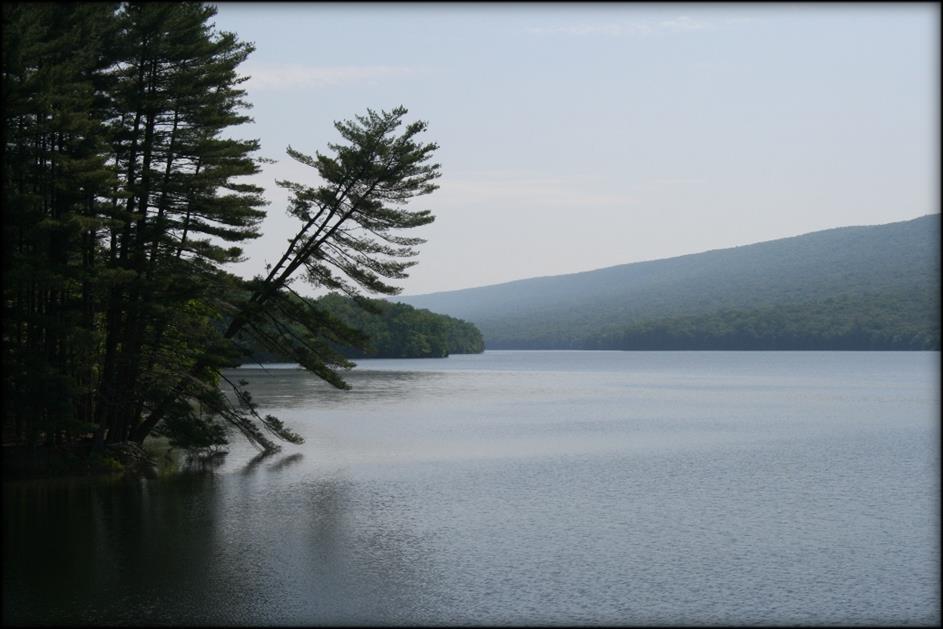 for a Forest Stewardship Plan of the DeHart Reservoir Property Capital Region Water
