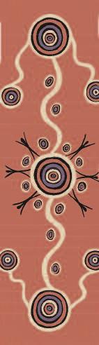 Housing for Aboriginal and Torres Strait Islander People July 2008 Housing NSW is committed to providing safe, low cost and culturally appropriate housing and tenancy services for Aboriginal and