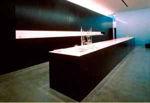 04 Helmut Lang Parfumerie Location: New York, New York Architects: Gluckman Mayner Architects