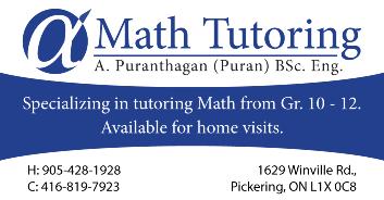 4695 TUTORING NELSON & FINCH Grade 1-8 Mathematics & Language Affordable