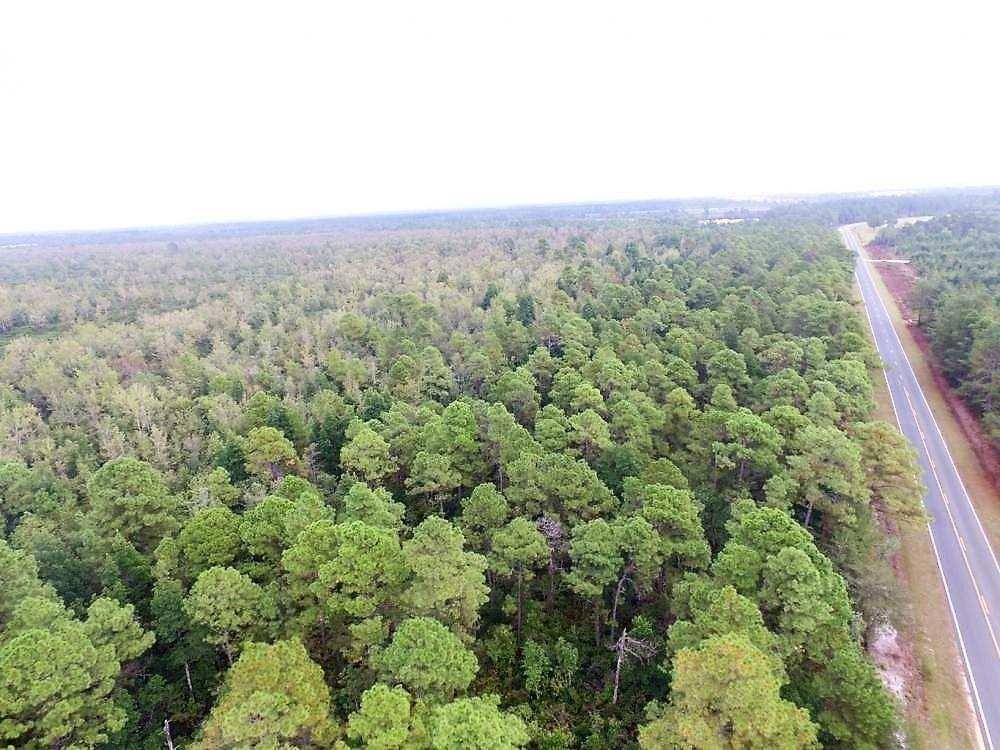 OVERVIEW: 128 +/- acres of excellent bear and deer hunting! Property has perked at the road frontage for a home or hunting lodge.