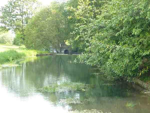 Pond above Bath storne Bridge