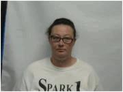 ADKINS TIFFANIE L 645 OLD CHATTANOOGA PIKE Age 31 THEFT FROM BUILDING DEPT/JONES,