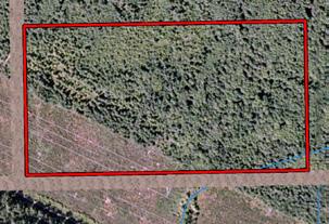 PHASE II - LOT 9 381 m 203 m 203 m 381 m LOT 9 19.1 ACRES SIZE PRICE ACCESS ZONING SERVICES 19.