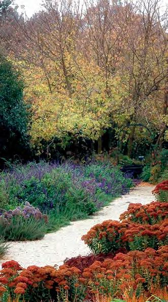 His gardens are renowned for their use of multiple plantings to create