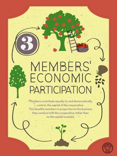 Beyond participation Member Satisfaction Survey Members contribute equally