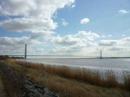 NWR Visit to Hull UK City of Culture 2017 Led by our intrepid native-of-hull (Mavis) Six of us took a slow and stately train to Hull on a sunny morning in May (viewing the magnificent Humber Bridge