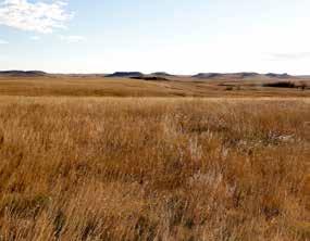 12 Parcel Note: This parcel offers 156 acres of cropland with the balance in grass