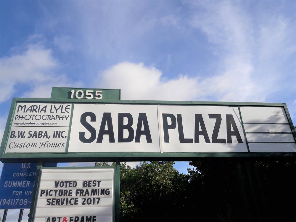 Executive Summary PROPERTY OVERVIEW Prime retail available in Saba Plaza - Excellent visibility - US 41 frontage at the heavily traveled Bahia Vista intersection. AADT = 60,000+ vehicles per day!
