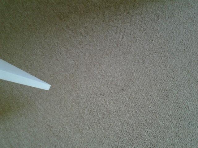 (UTC) Bedroom 2: Floors & Skirtings Carpet Light stains.