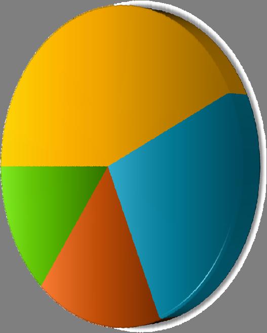 SURVEYS MAILED SURVEYS RECEIVED 17% 15% 43% 19% 16% 39% 25%