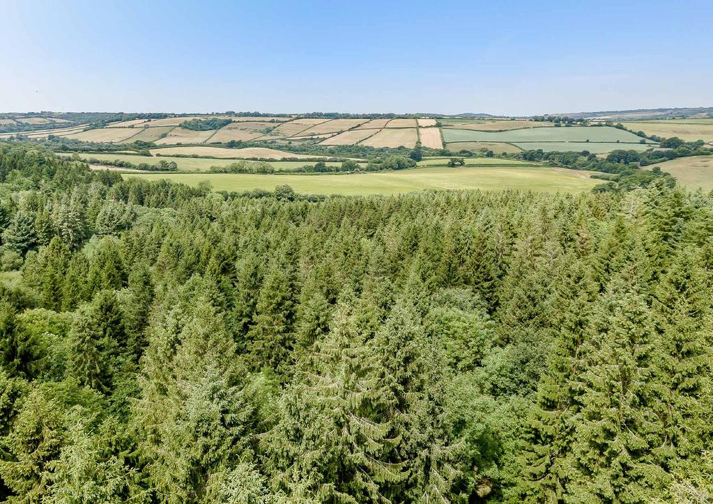 John Clegg & Co Scotland: 0131 229 8800 England: 01844 291 384 Wales: 01600 730 735 John Clegg & Co is the forestry division of Strutt & Parker, a trading style of BNP Paribas Real Estate