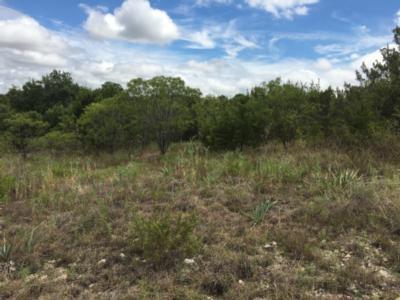 1.01 Acre Lot in Scenic Mt. Lakes Dickerson Real Estate 254-485-3621 pauladonaho@gmail.