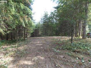 58 acres of level property ready to build. On the East Fork of the Lewis River. Property has wonderful old growth trees and mature bushes.