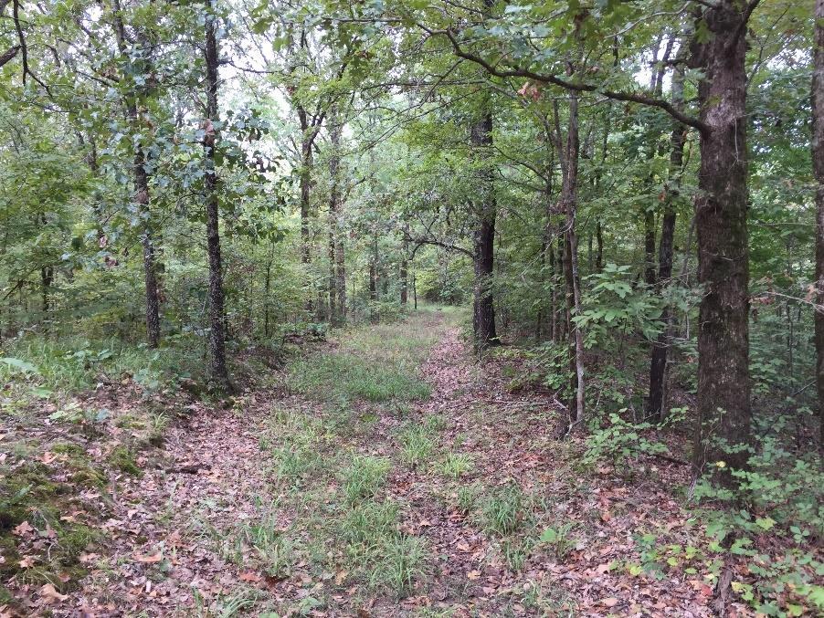 SEALED BID AUCTION Bay Village Tract Cross County, Arkansas OFFERED BY: G GLAUB FARM MANAGEMENT MANAGEMENT REAL ESTATE LAND AUCTIONS APPRAISALS CONSULTING INVESTMENTS For Additional Information