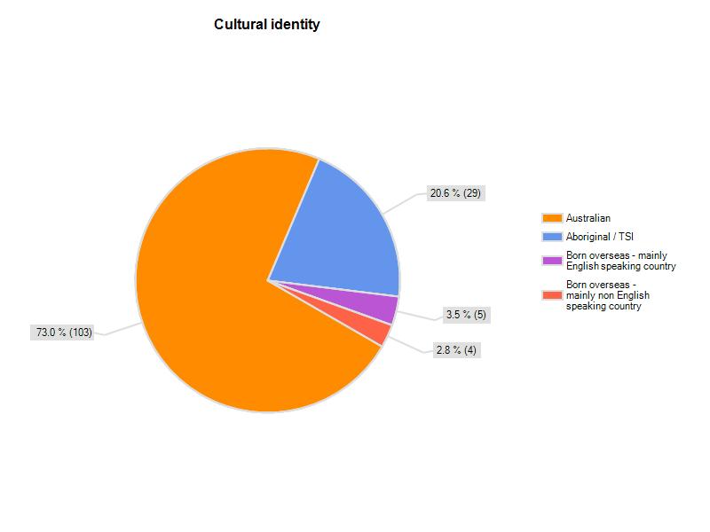 1.3 This graph shows the responding tenants cultural identity. The majority of tenants identified as Australian (73%) whilst 20.6% identified as Aboriginal or Torres Strait Islander. 3.