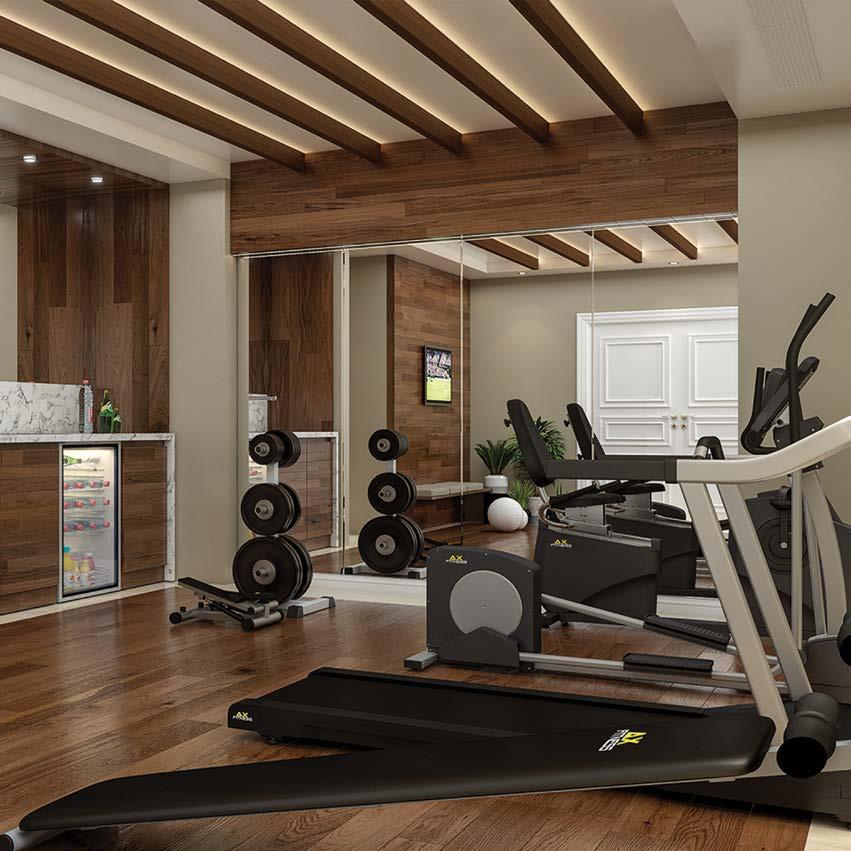 Gym FEATURES & AMENITIES Villa Alma s exquisite design incorporates a number of modern world-class facilities, features and amenities. These are briefly outlined below.
