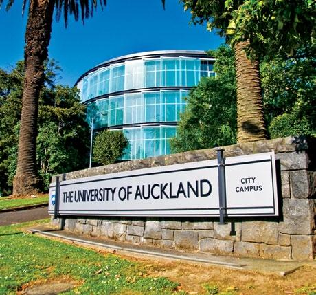 New Zealand s top university, The University of is just minutes walk from 132 Vincent.