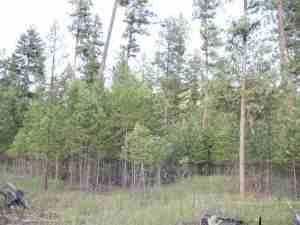 Status: Active Short Sale: No State: Montana Legal: Lot 22 Steep River Ranch Subdivision Taxes: 489.81 Acres (lot size): 0.