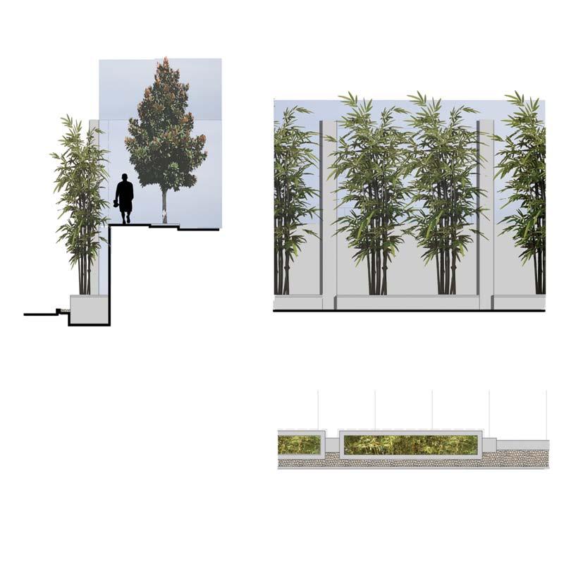 STREET TREES FACE OF BUILDING SCREEN SAFETY BARRIER BAMBOO SIDEWALK STREET LEVEL RAISED PLANTER