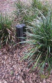 92) was installed in the memory of Pte Robert Alfred Whitton in April, 2012 & planted with ornamental grasses.