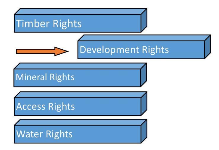 The right to develop can be removed from the bundle.